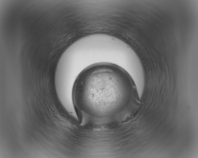 X0000052570268200507221510