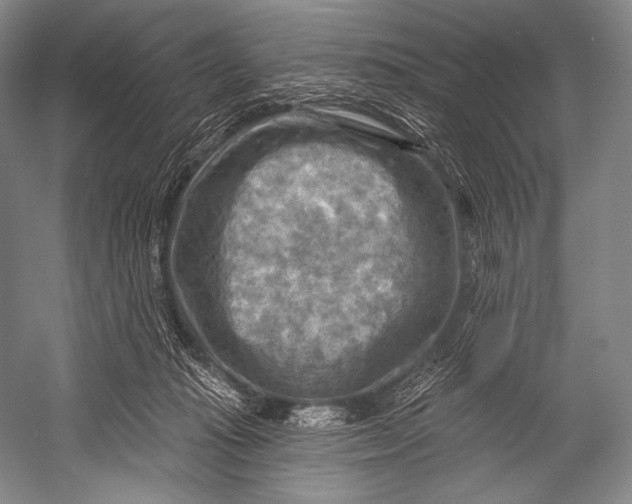 X0000052570269200507221510