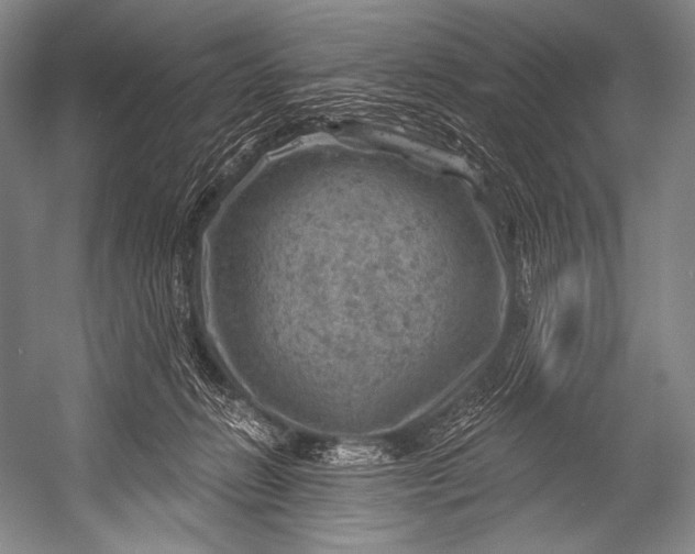 X0000052570270200507221510