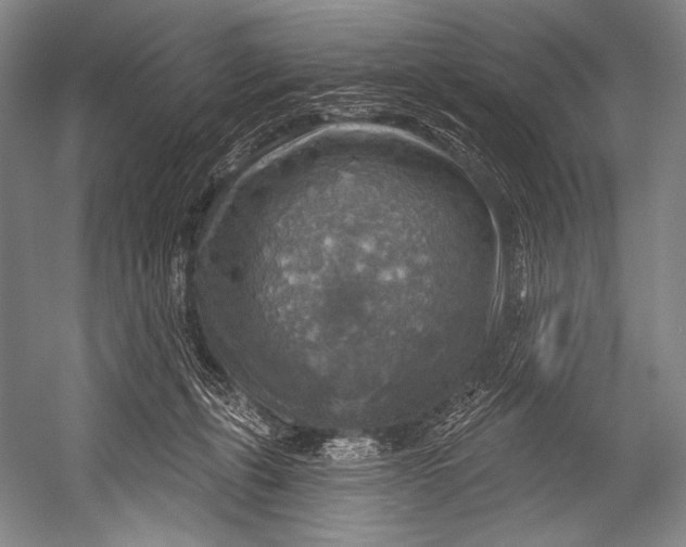 X0000052570271200507221510