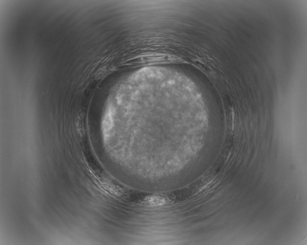 X0000052570272200507221510