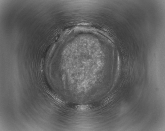 X0000052570273200507221510