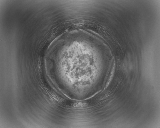 X0000052570274200507221510