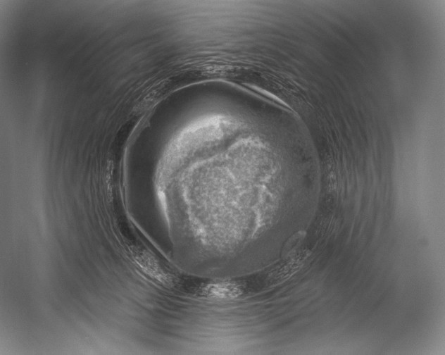 X0000052570275200507221510