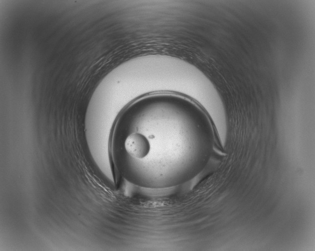 X0000052570276200507221510