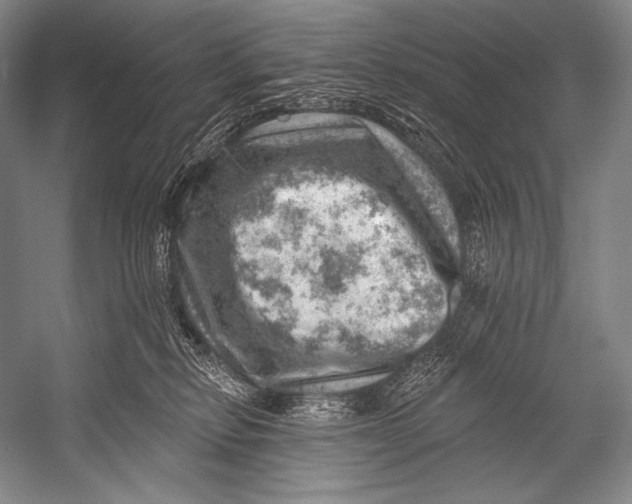 X0000052570278200507221510