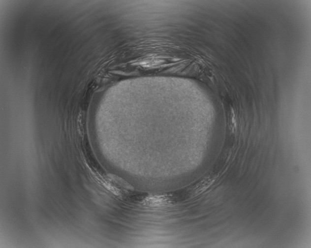 X0000052570280200507221510