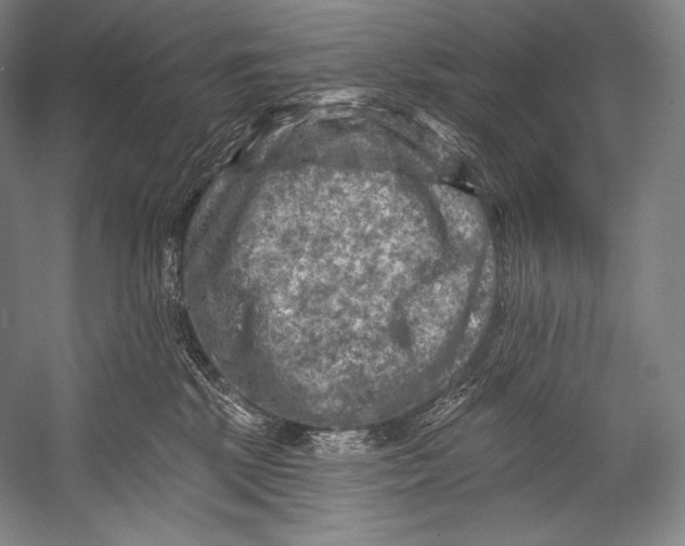 X0000052570281200507221510