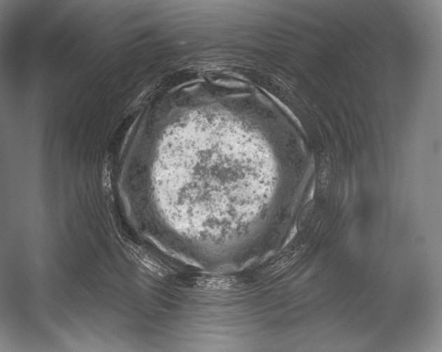 X0000052570282200507221510