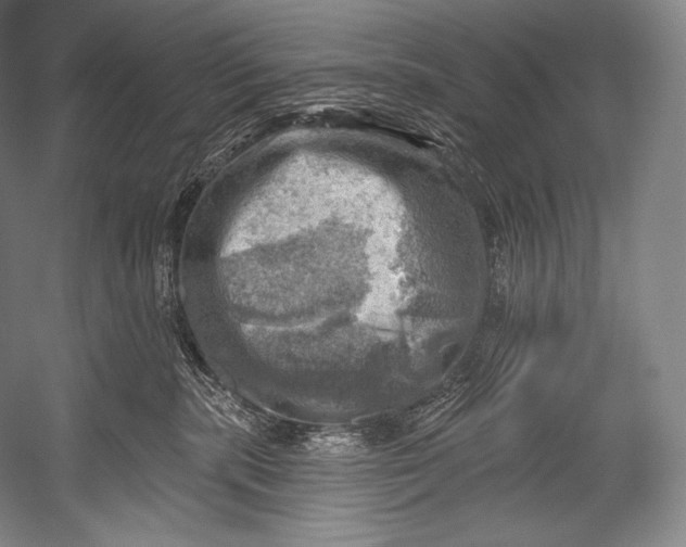 X0000052570283200507221510