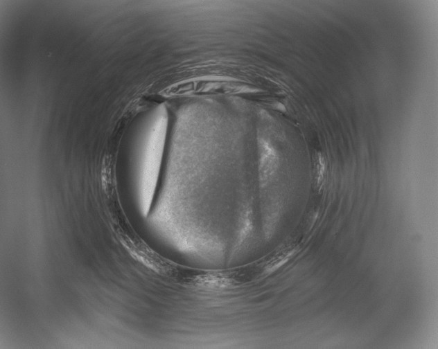 X0000052570284200507221510