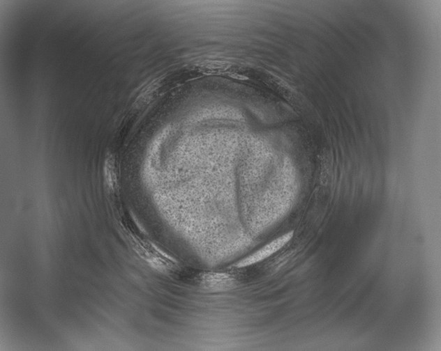 X0000052570287200507221510