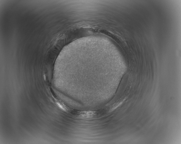 X0000052570288200507221510