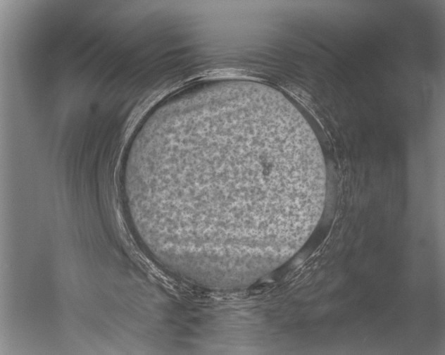 X0000052570289200507221509