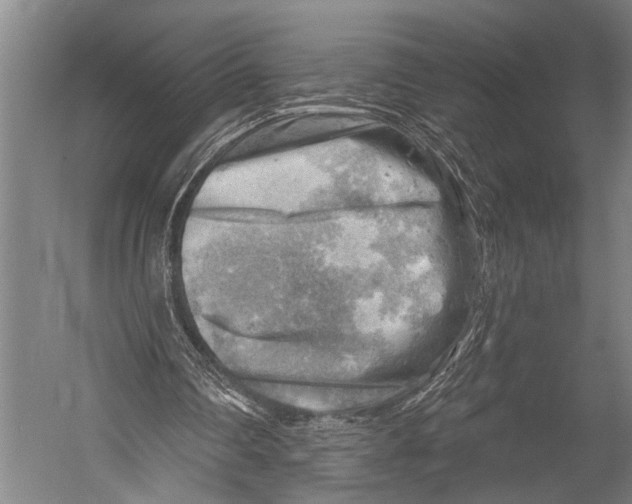 X0000052570290200507221509