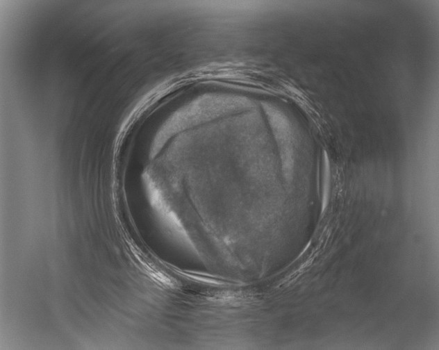 X0000052570293200507221509