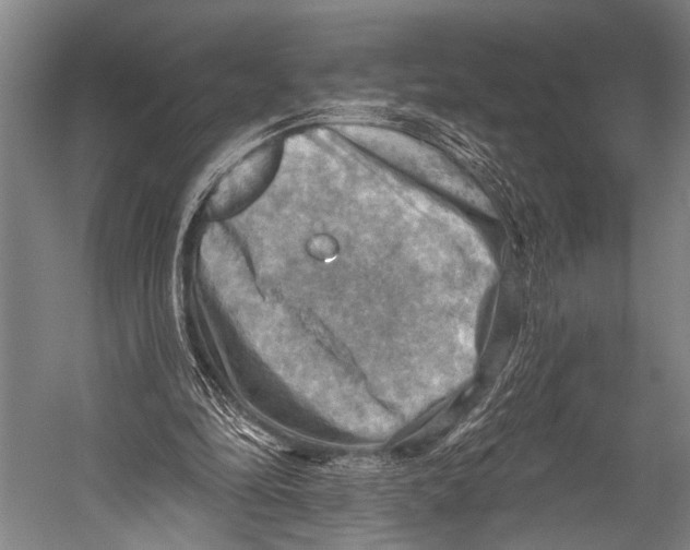 X0000052570294200507221509