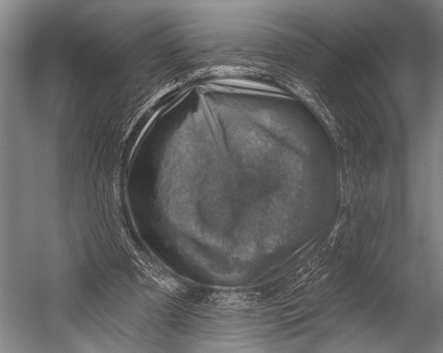 X0000052570297200507221509