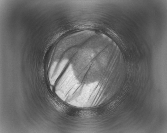 X0000052570298200507221509