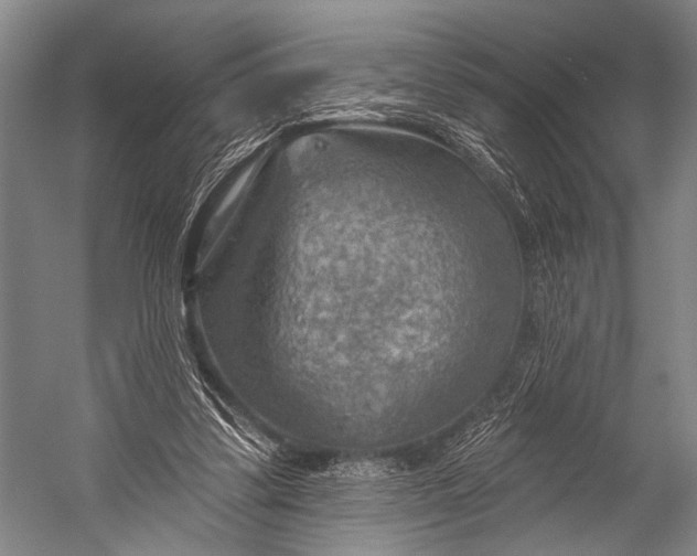 X0000052570299200507221509