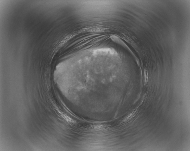 X0000052570301200507221509