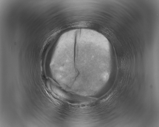 X0000052570302200507221509