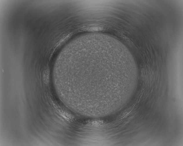 X0000052570304200507221509