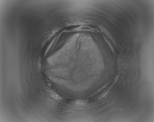 X0000052570305200507221509