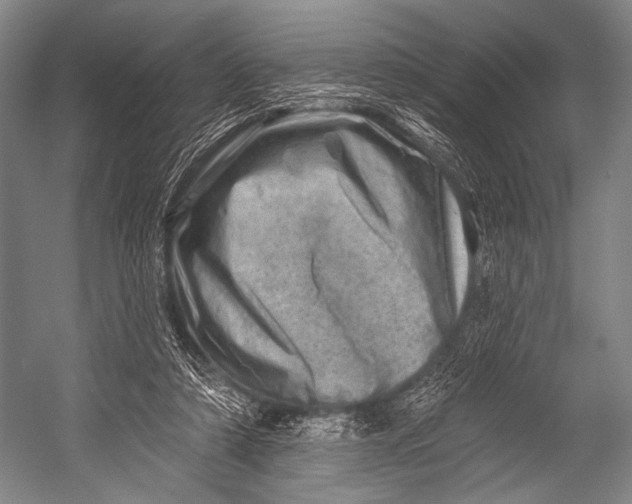 X0000052570306200507221509