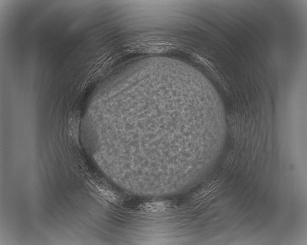 X0000052570307200507221509