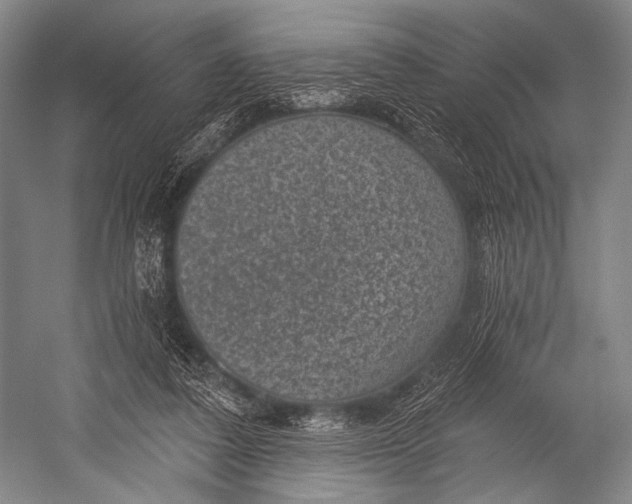 X0000052570308200507221509