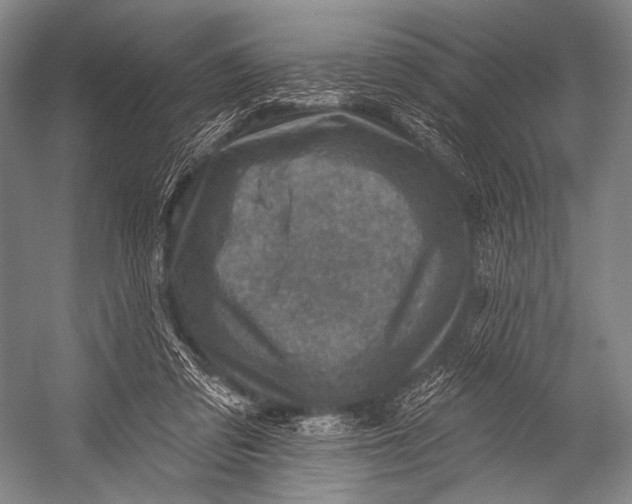 X0000052570309200507221509