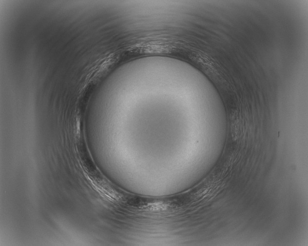 X0000052570310200507221509