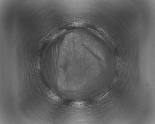 X0000052570313200507221509