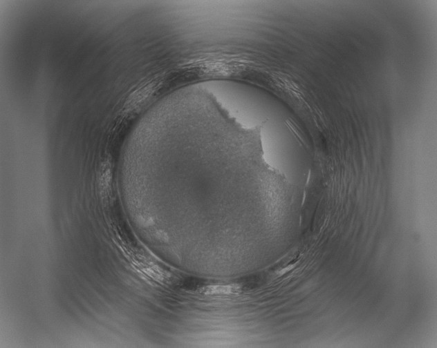 X0000052570314200507221509