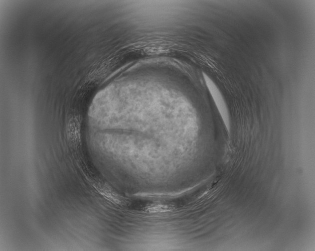 X0000052570315200507221509