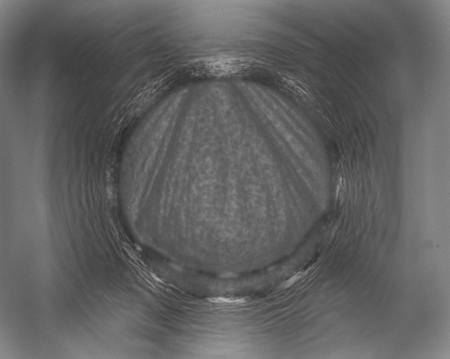 X0000052570317200507221509