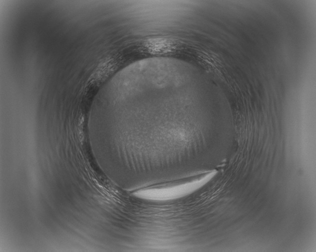 X0000052570319200507221509