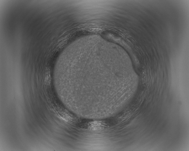 X0000052570320200507221509