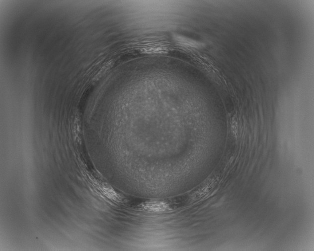 X0000052570322200507221509