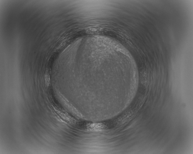 X0000052570324200507221509