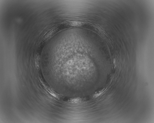 X0000052570325200507221509