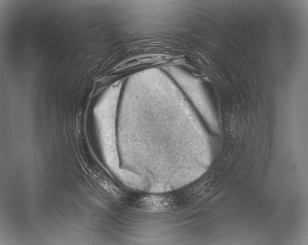 X0000052570326200507221509