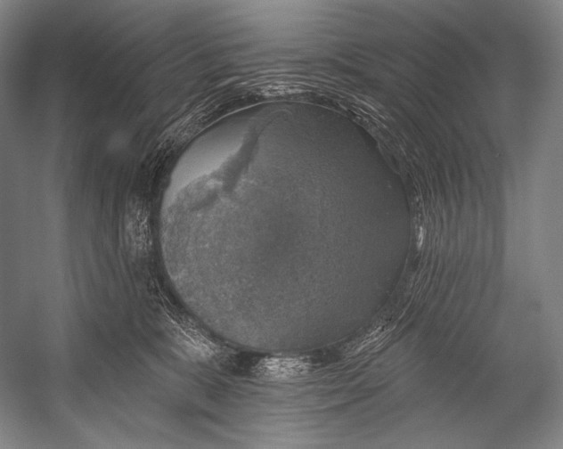 X0000052570327200507221509