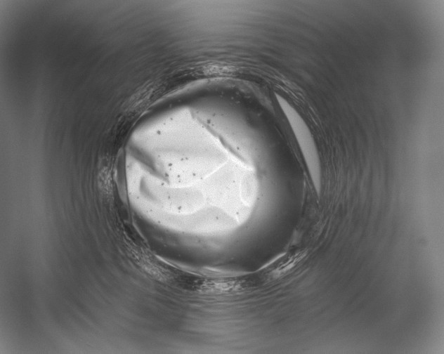 X0000052570329200507221509