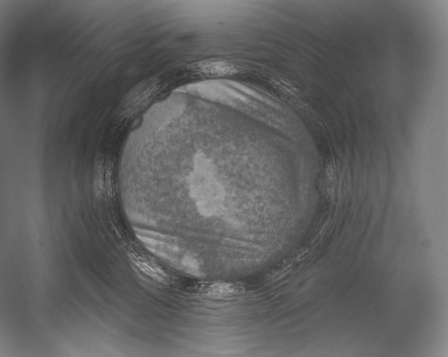 X0000052570330200507221508