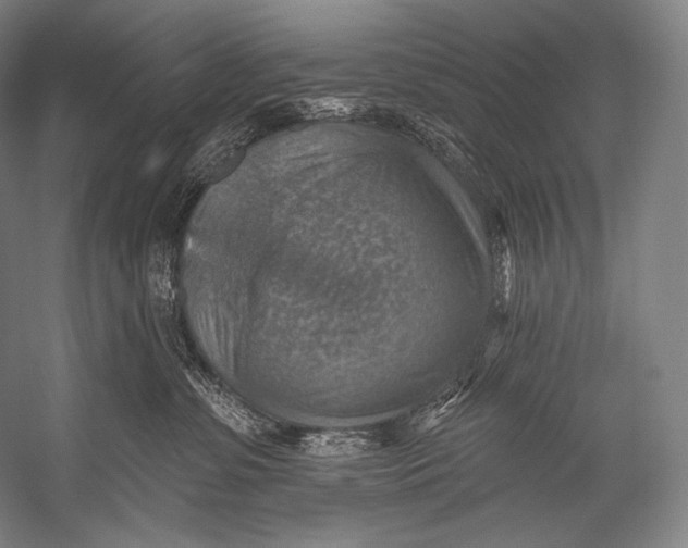 X0000052570331200507221508