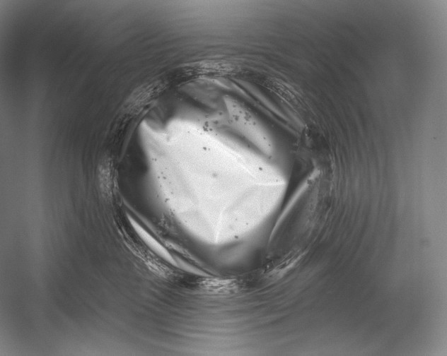 X0000052570333200507221508