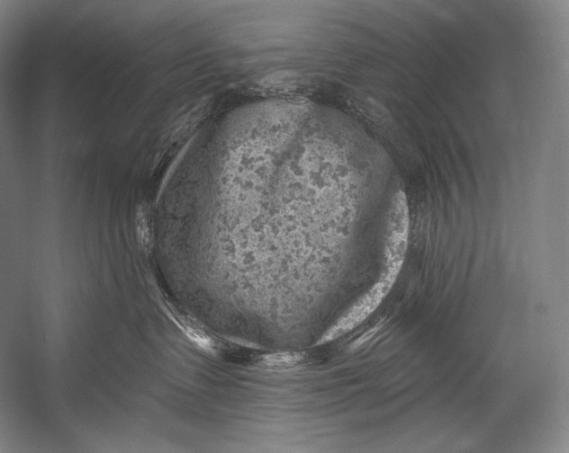 X0000052570335200507221508