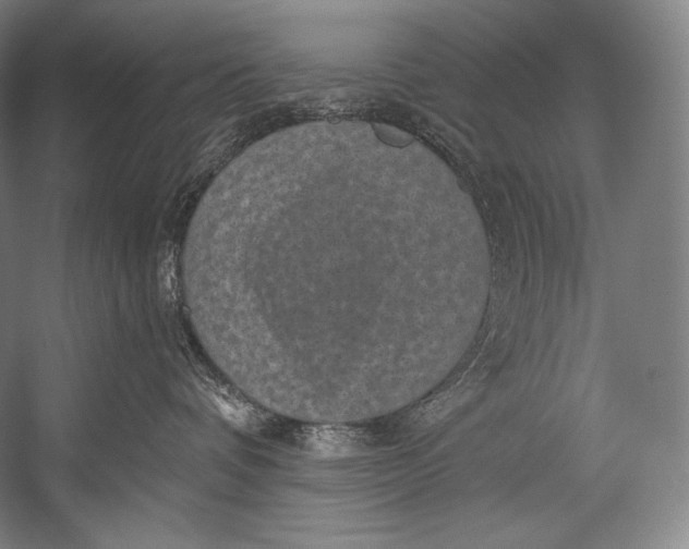 X0000052570336200507221508